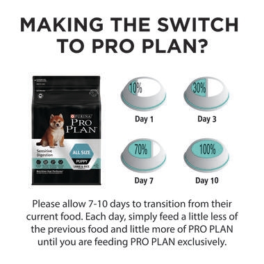 Pro plan all outlet size